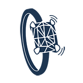 奢華珠寶寶石鑲嵌