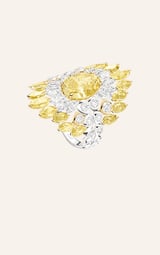 高級珠寶戒指，鑲飾艷彩黃鉆