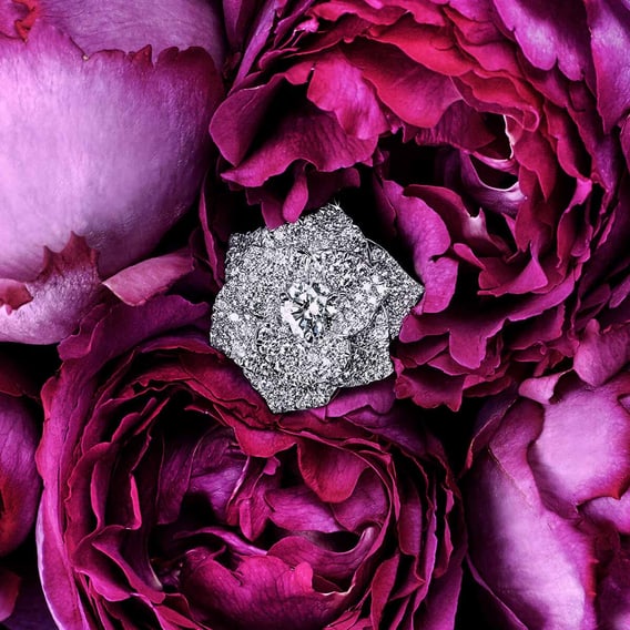 Piaget Rose jewelry