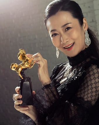 趙濤:入圍2018年金馬獎