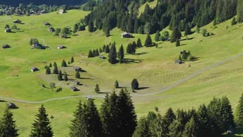 PLAN D’ACTION ENVIRONNEMENTAL