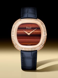 andy warhol watch in gold with tiger eye dial