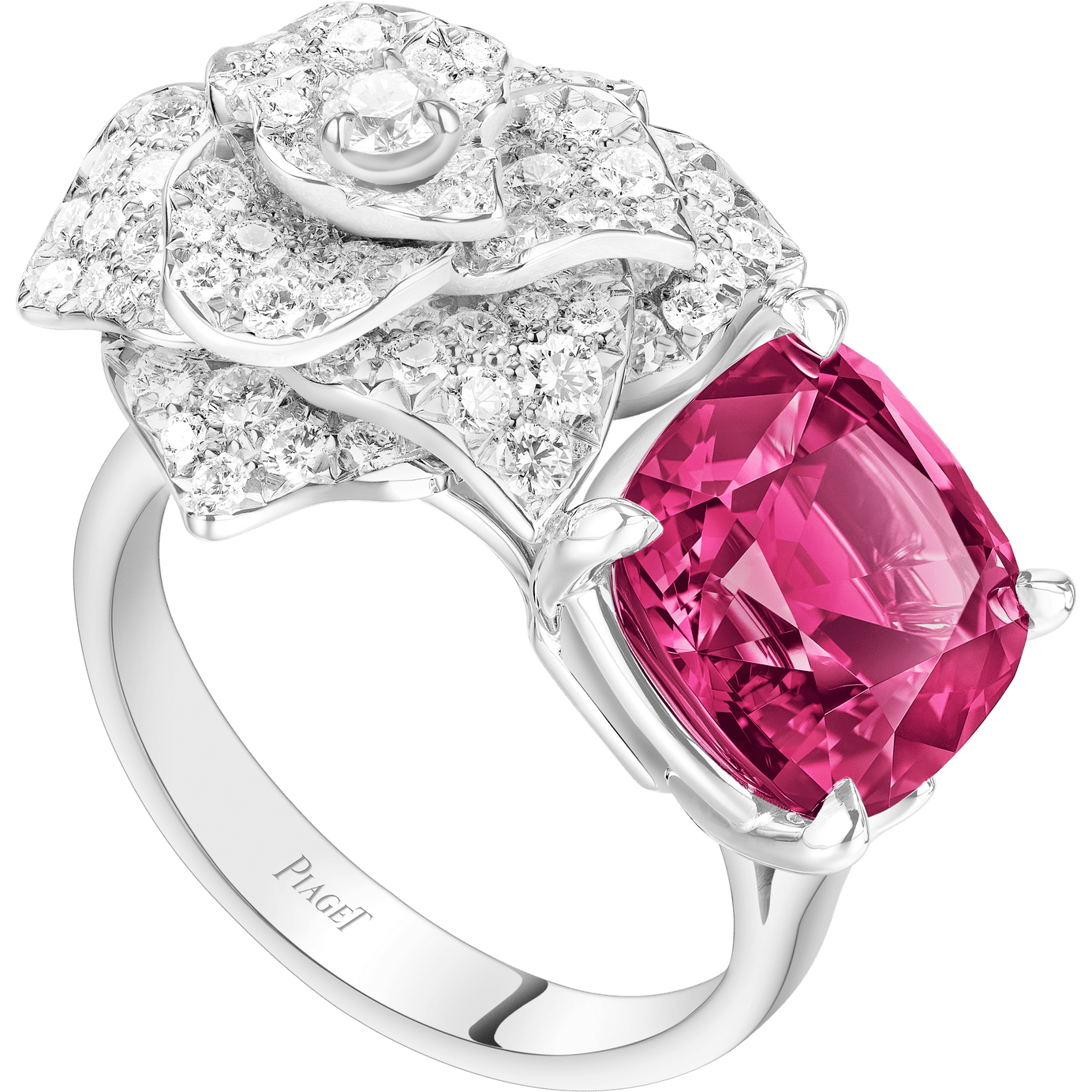 Piaget伯爵Rose系列戒指