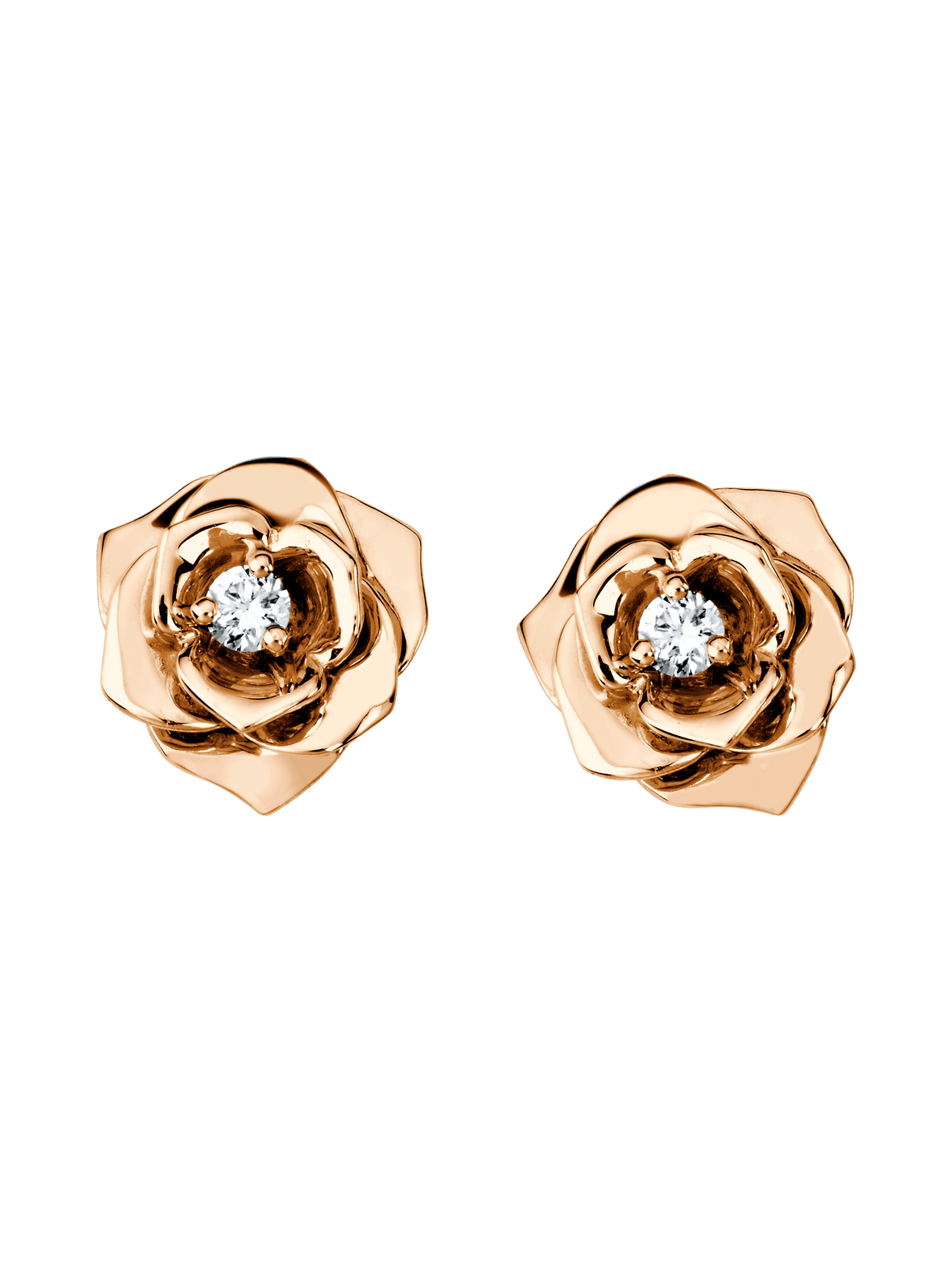 Rose earrings — G38U0043