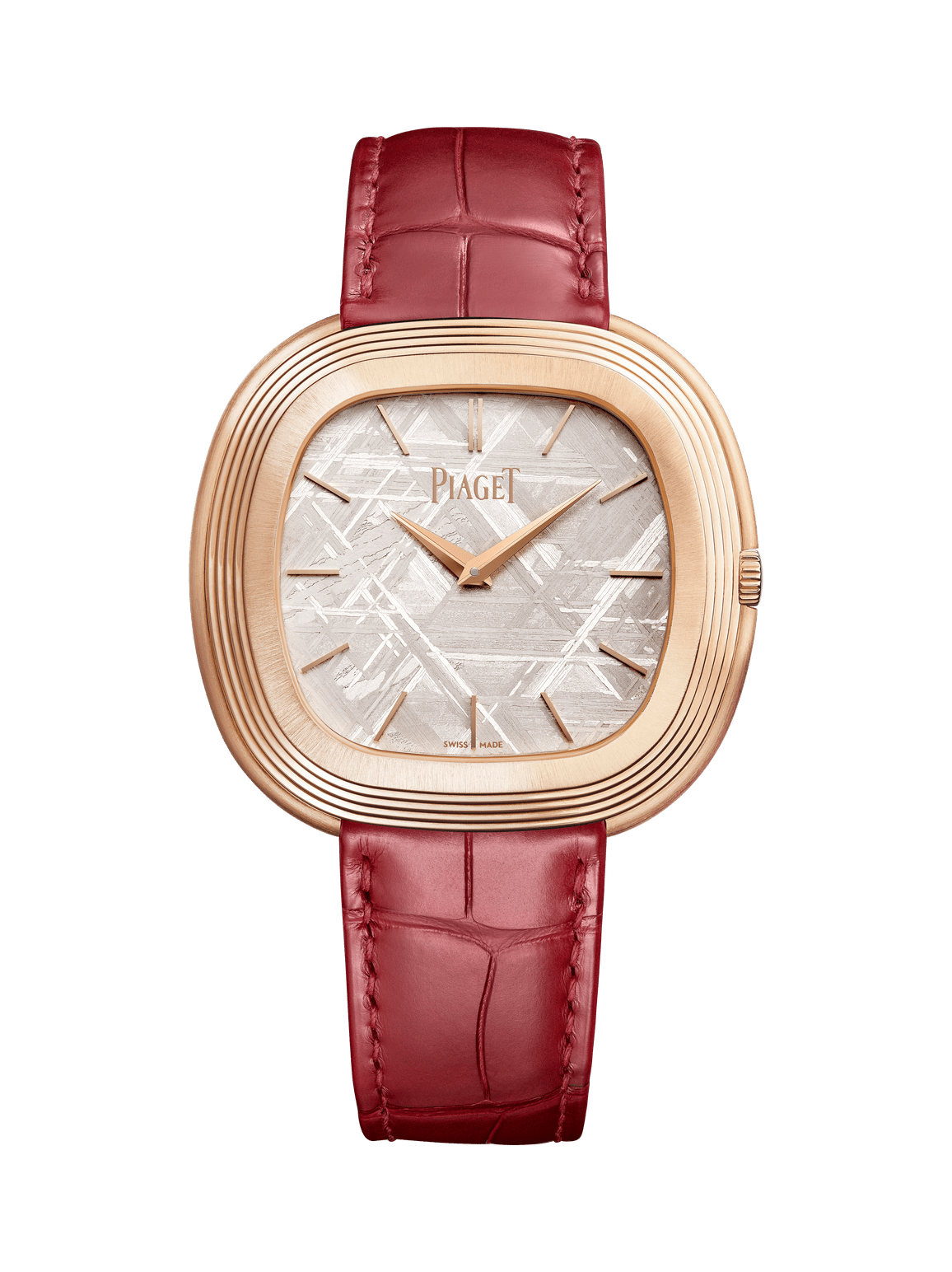 Andy Warhol watch — G0A50242