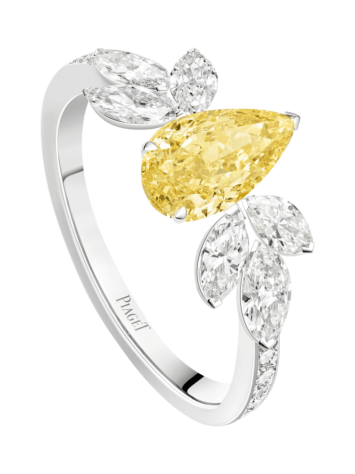 Treasures ring — G34M6400