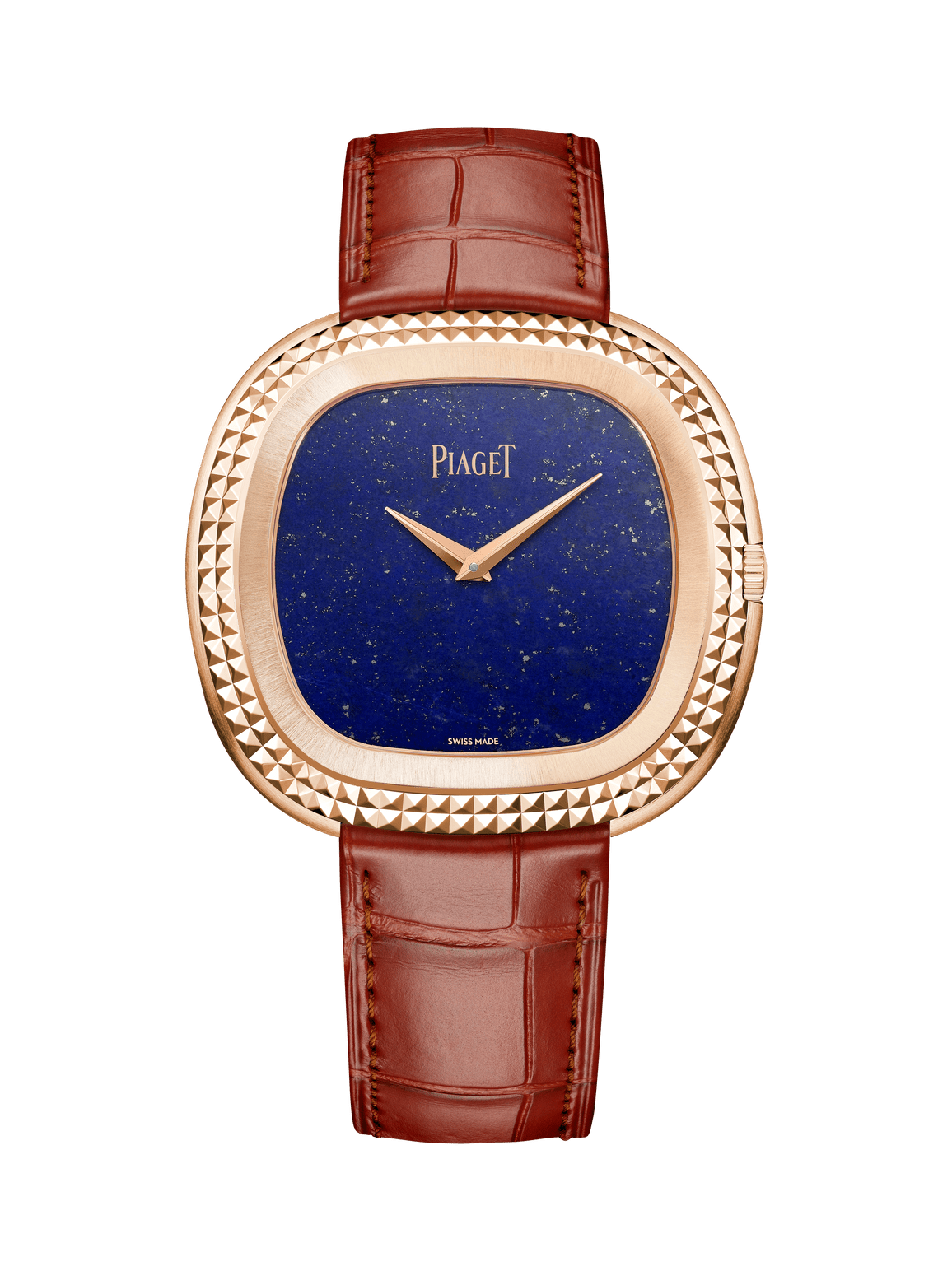 Andy Warhol watch — G0A51244