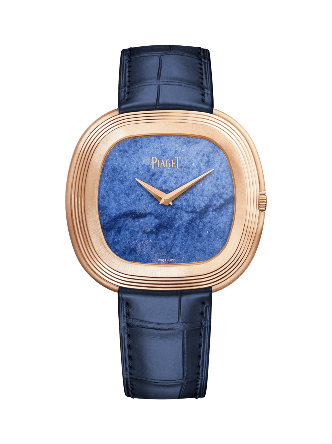 Andy Warhol watch — G0A51246
