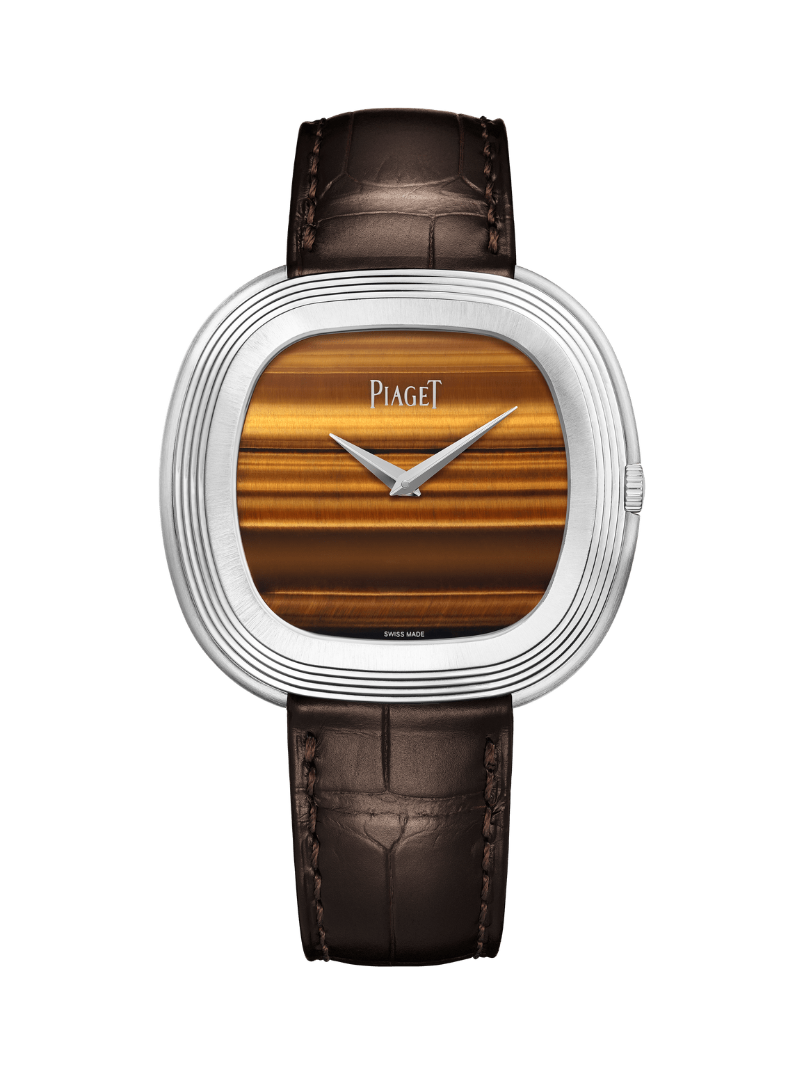 Andy Warhol watch — G0A50240