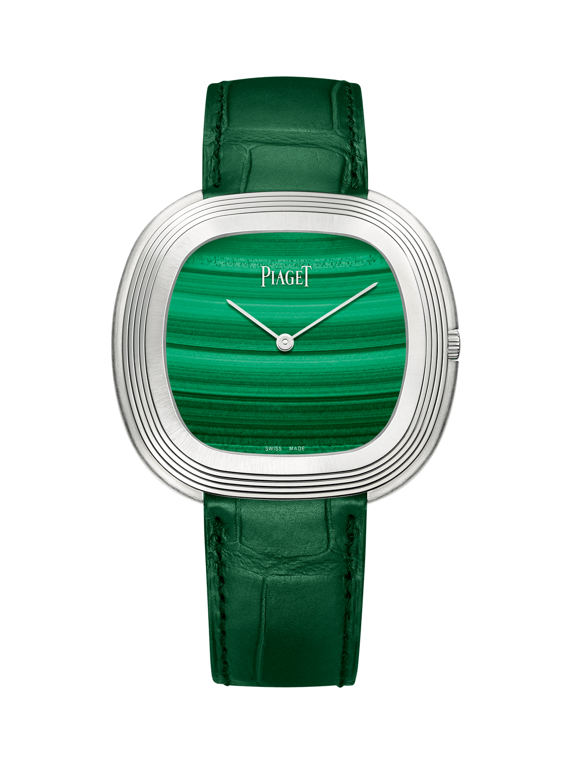 Andy Warhol watch — G0A43238