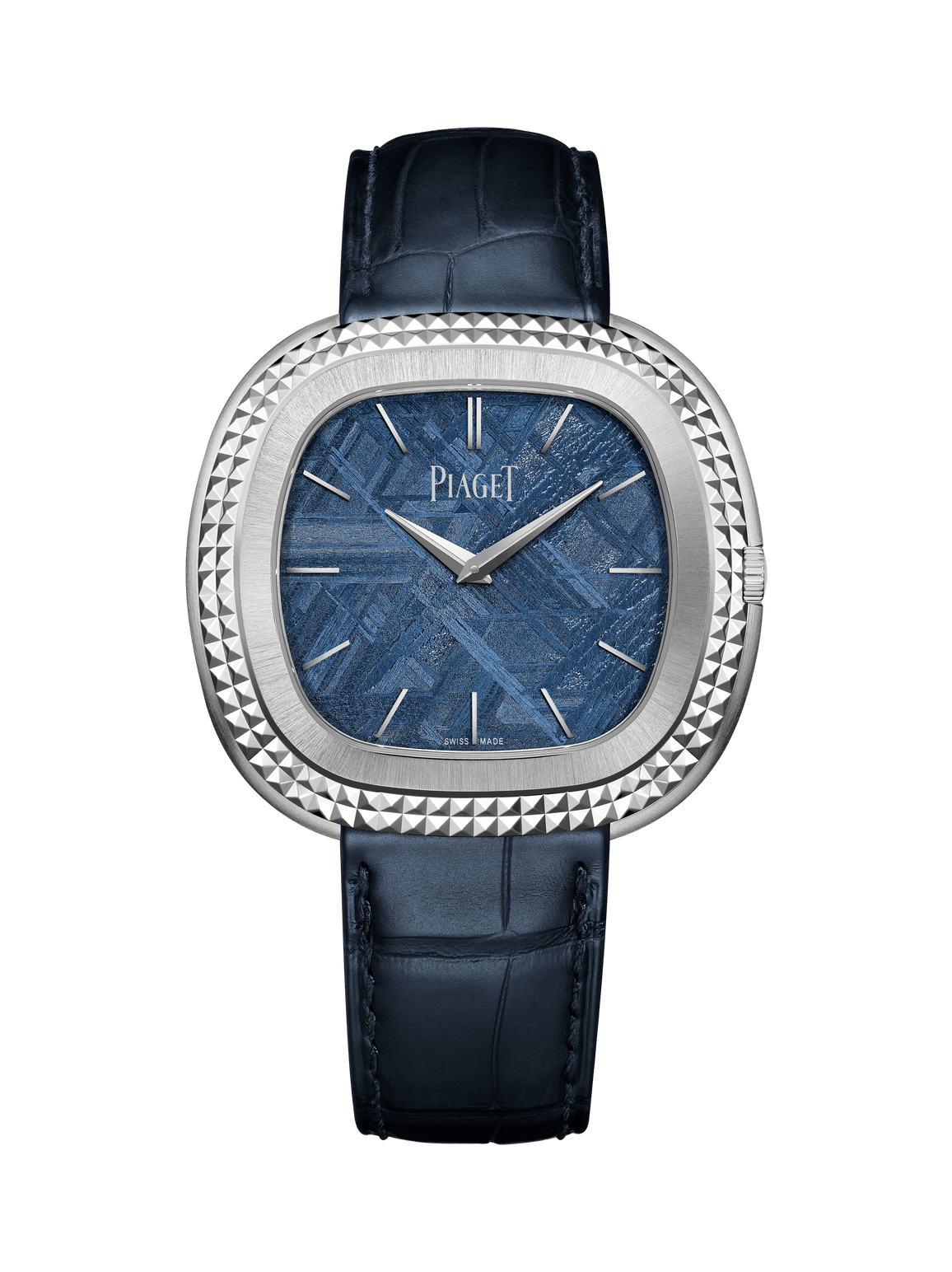 Andy Warhol watch — G0A49238