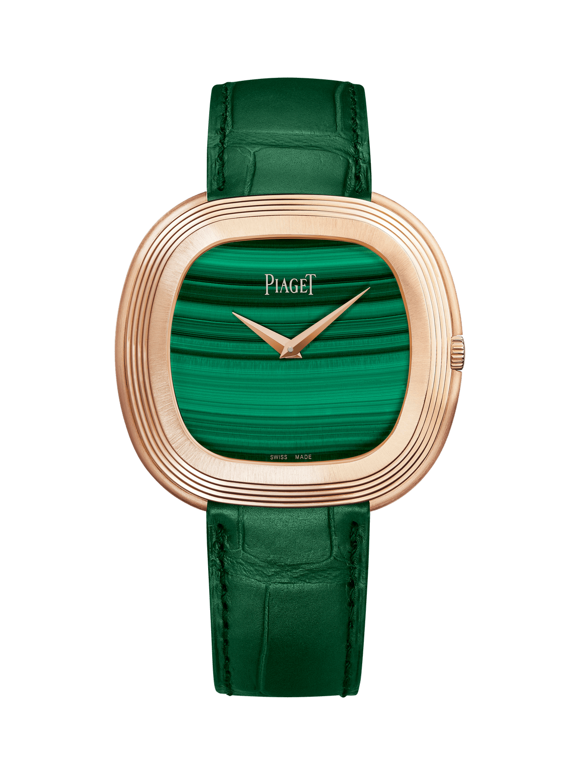 Andy Warhol watch — G0A48239