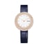 Montre Possession