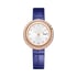 Montre Possession