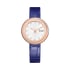 Montre Possession